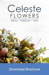 florist-download_brochure
